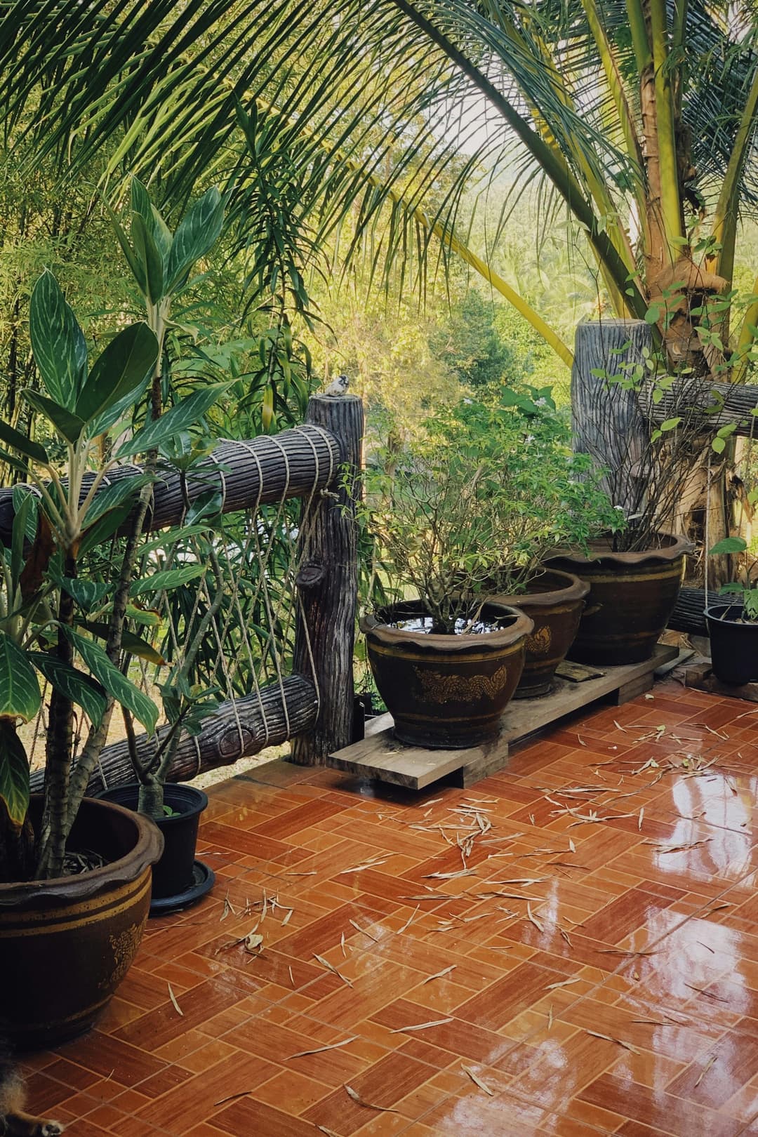Garduri vii și decorațiuni pentru balcon: realizări cu plante și ghivece