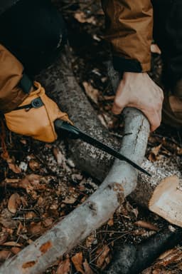 Sfaturi pentru mentenanța pardoselilor de lemn naturale