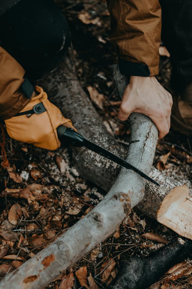Sfaturi pentru mentenanța pardoselilor de lemn naturale