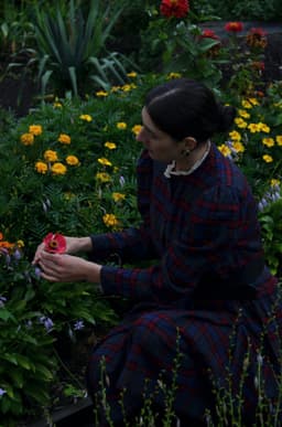 Trandafiri în grădină: plantare și îngrijire pentru flori superbe