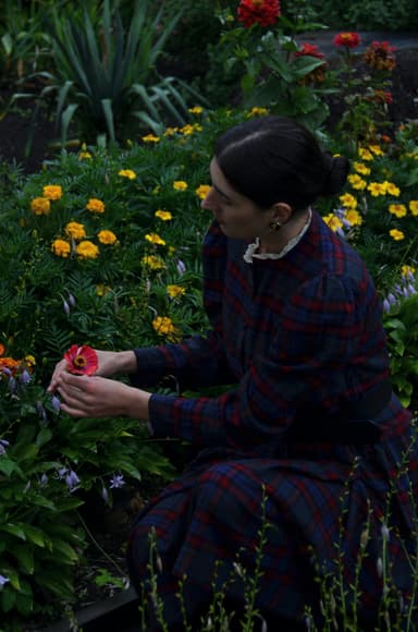 Trandafiri în grădină: plantare și îngrijire pentru flori superbe