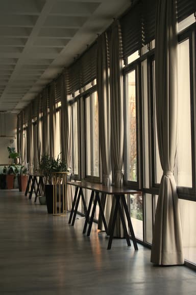 Plante purificatoare – cum le selectezi pentru biroul de acasă