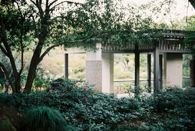 Amenajarea balconului: transformă-l într-o oază verde