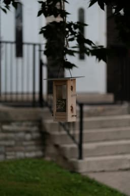 Cum să construiești o căsuță pentru păsări în grădina ta