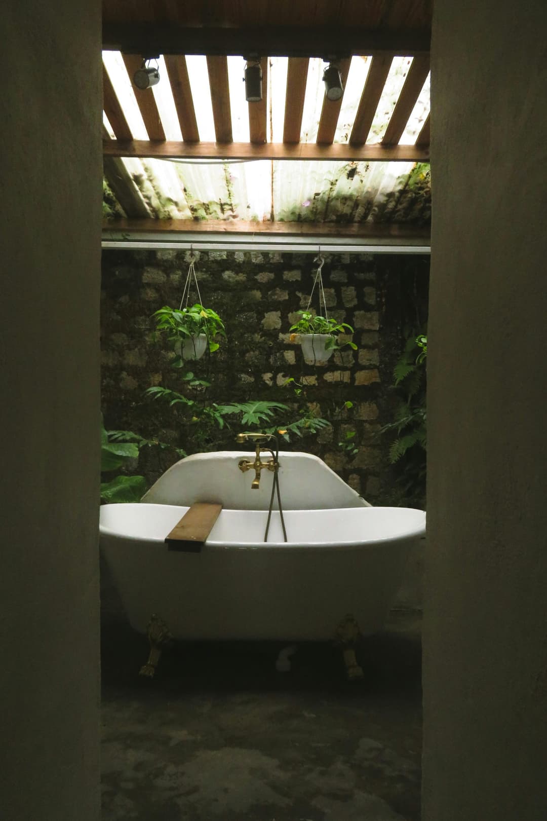 Grădină de perete în baie – mini-oază naturală la tine acasă
