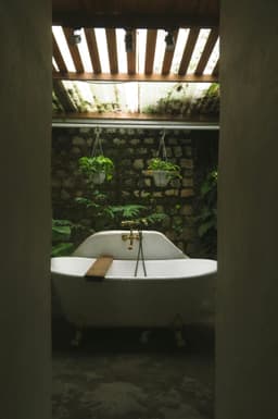 Grădină de perete în baie – mini-oază naturală la tine acasă