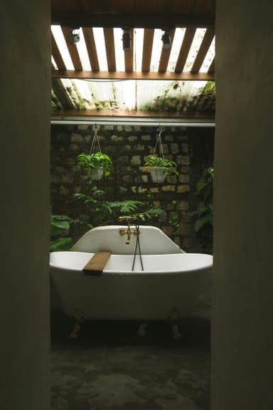 Grădină de perete în baie – mini-oază naturală la tine acasă