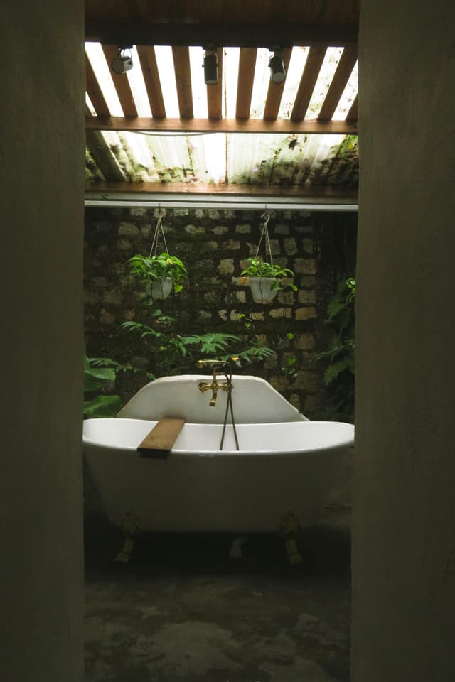 Grădină de perete în baie – mini-oază naturală la tine acasă