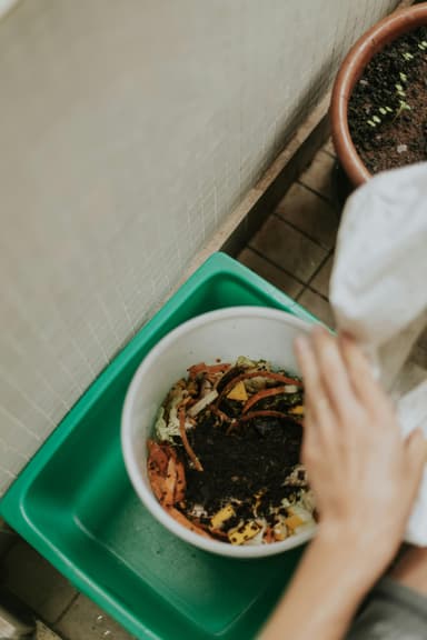 Ghidul începătorului în compostare: transformă deșeurile în îngrășământ