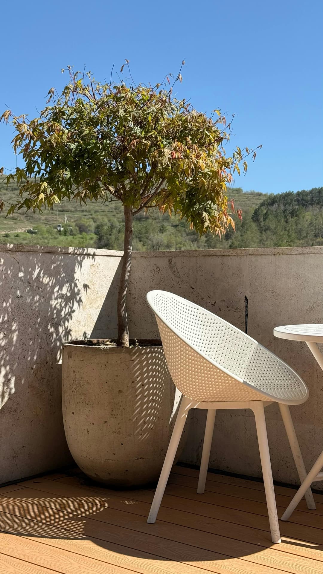 Grădină de balcon: cum să transformi un mic spațiu exterior în oază verde