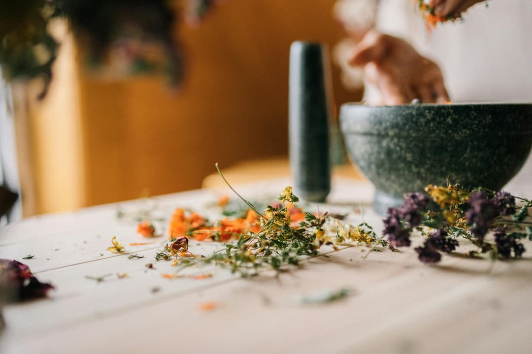 Decorarea grădinii cu pietre pictate și marcaje DIY