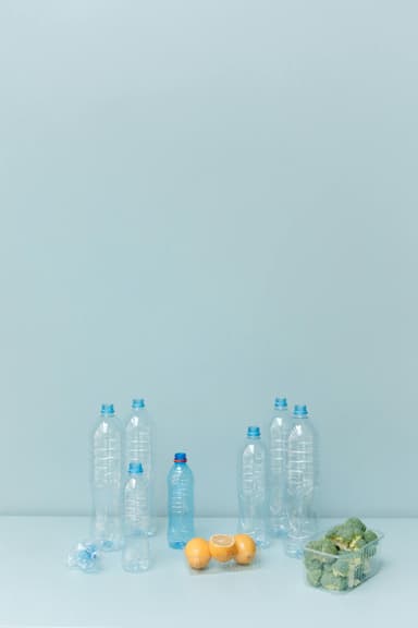 Cum să-ți reduci amprenta de carbon acasă: 8 schimbări simple
