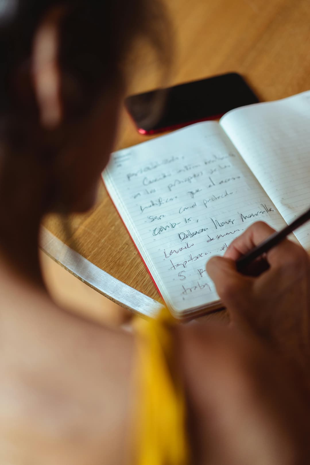 Mic jurnal de idei apărute în vacanță