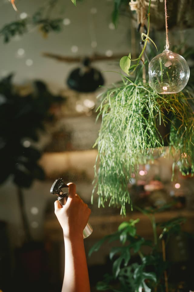 Sensor de umiditate pentru plantă verticală – grijă automată