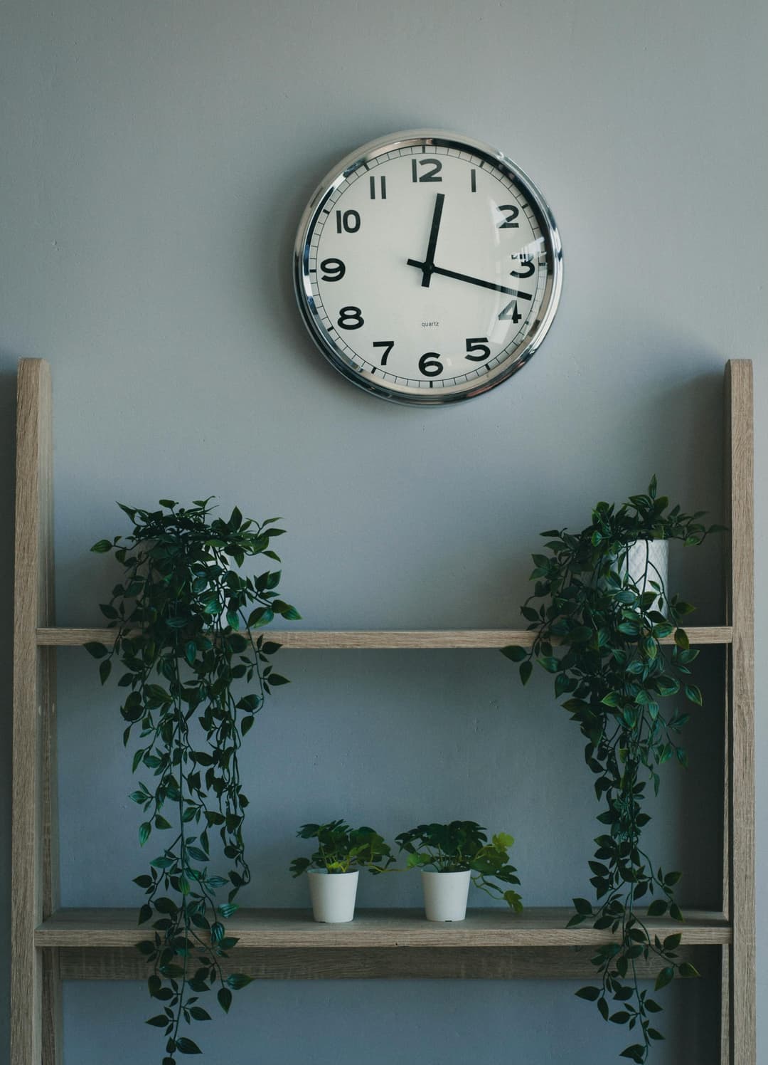 Integrarea plantelor verticale în decorul tău