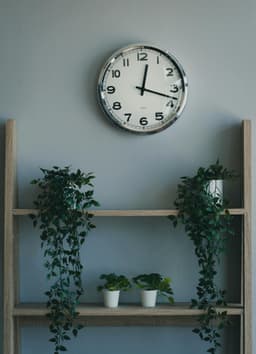 Integrarea plantelor verticale în decorul tău