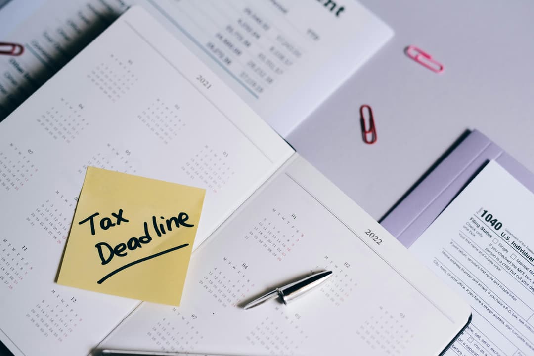 Grădina de legume: calendarul lucrărilor pe tot parcursul anului